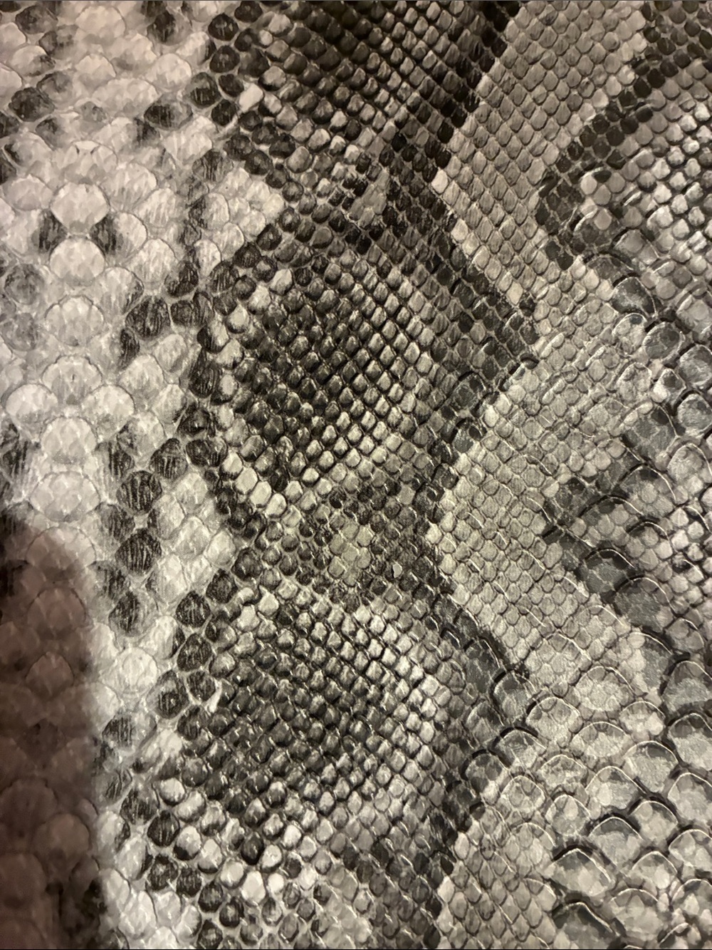 Source Unknown Black & White Python-Print Tote - Picture 2 of 5